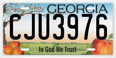 GA license plate CJU3976