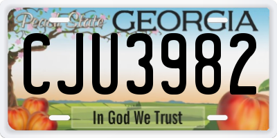 GA license plate CJU3982