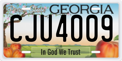 GA license plate CJU4009
