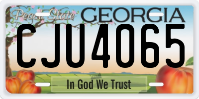 GA license plate CJU4065