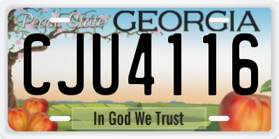 GA license plate CJU4116