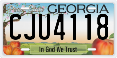GA license plate CJU4118