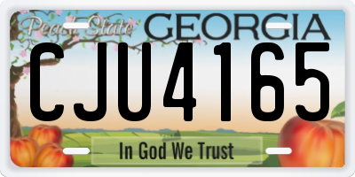 GA license plate CJU4165