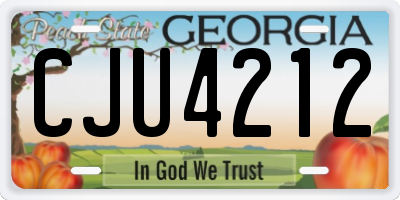 GA license plate CJU4212