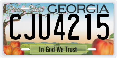 GA license plate CJU4215