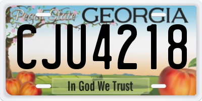 GA license plate CJU4218