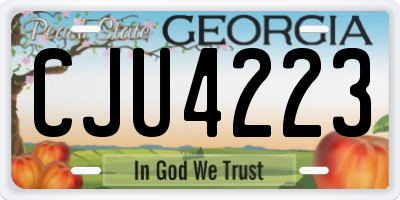 GA license plate CJU4223