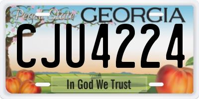 GA license plate CJU4224