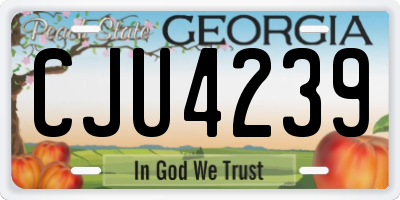 GA license plate CJU4239