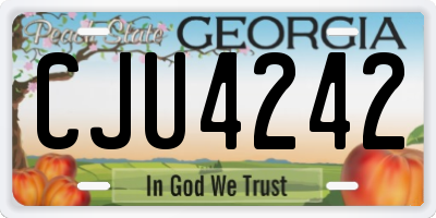GA license plate CJU4242