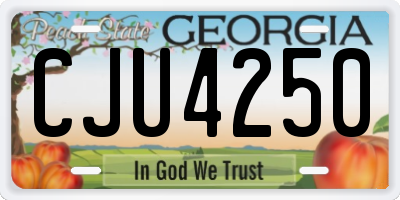 GA license plate CJU4250