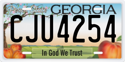 GA license plate CJU4254