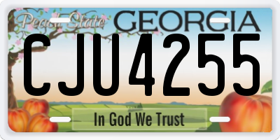 GA license plate CJU4255