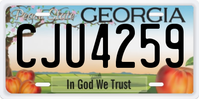 GA license plate CJU4259