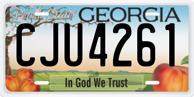 GA license plate CJU4261