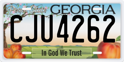 GA license plate CJU4262