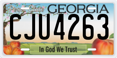 GA license plate CJU4263