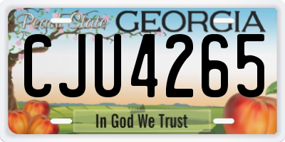 GA license plate CJU4265