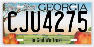 GA license plate CJU4275