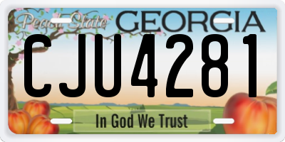 GA license plate CJU4281