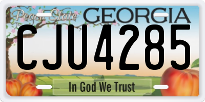 GA license plate CJU4285