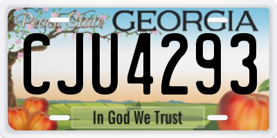 GA license plate CJU4293