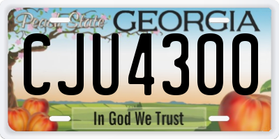 GA license plate CJU4300