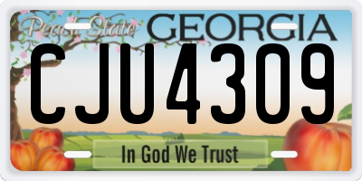 GA license plate CJU4309