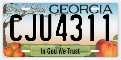 GA license plate CJU4311