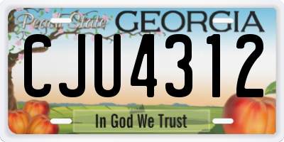 GA license plate CJU4312