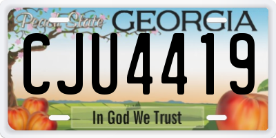 GA license plate CJU4419