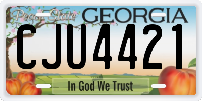GA license plate CJU4421
