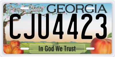 GA license plate CJU4423