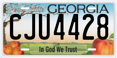 GA license plate CJU4428