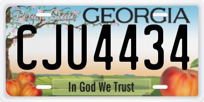 GA license plate CJU4434