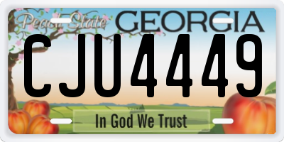 GA license plate CJU4449