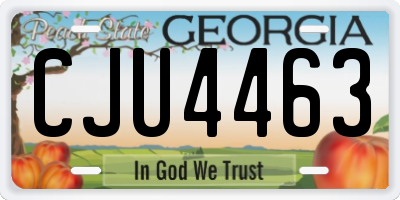 GA license plate CJU4463
