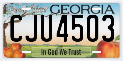 GA license plate CJU4503