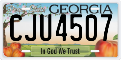 GA license plate CJU4507