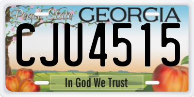 GA license plate CJU4515