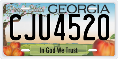 GA license plate CJU4520