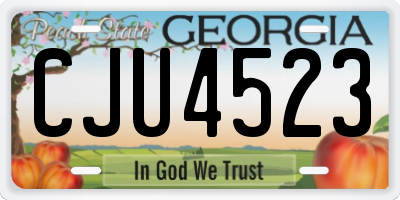 GA license plate CJU4523