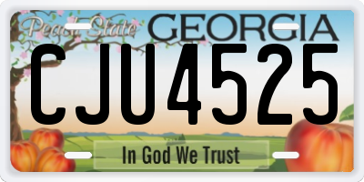 GA license plate CJU4525