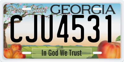 GA license plate CJU4531