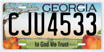 GA license plate CJU4533
