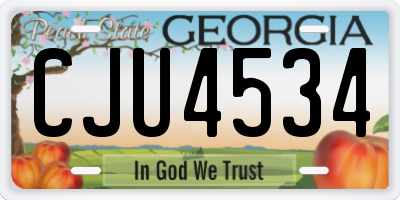 GA license plate CJU4534
