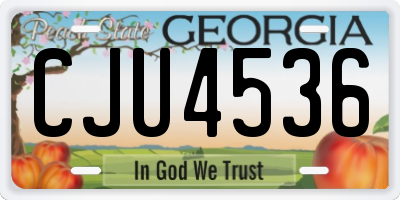 GA license plate CJU4536