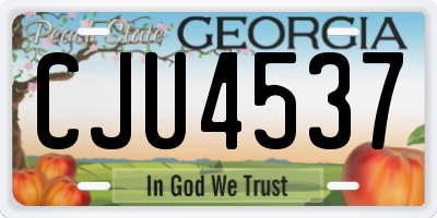 GA license plate CJU4537
