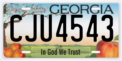 GA license plate CJU4543