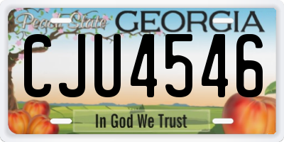 GA license plate CJU4546